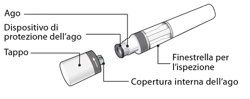 Siringa con ago protetto da dispositivo di protezione, tappo, finestrella per l
