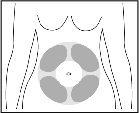 Sezione trasversale del tronco umano con area grigia che indica il sito di iniezione nell