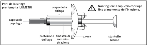 Siringa preriempita con parti etichettate: cappuccio, protezione ago, finestra somministrazione, presa e stantuffo bianco