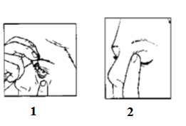 Due disegni schematici mostrano l