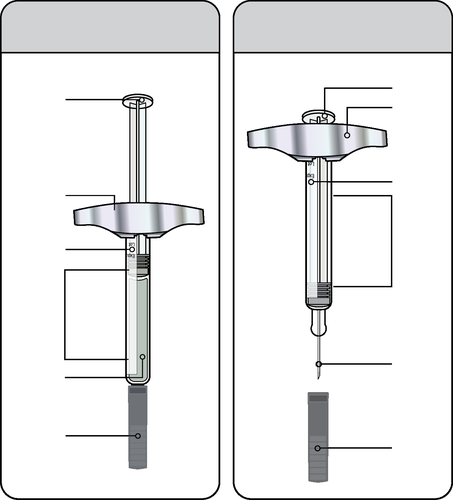 Due penne per insulina con ago, viste lateralmente, con indicazioni delle parti e stantuffo trasparente