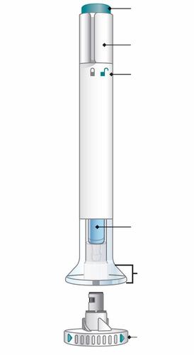 Penna per iniezione monouso bianca con componenti etichettati da frecce, ago protettivo e base avvitabile trasparente