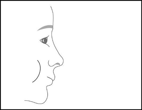 Profilo stilizzato di un volto umano con occhio e naso ben definiti linea del mento e sopracciglio visibili