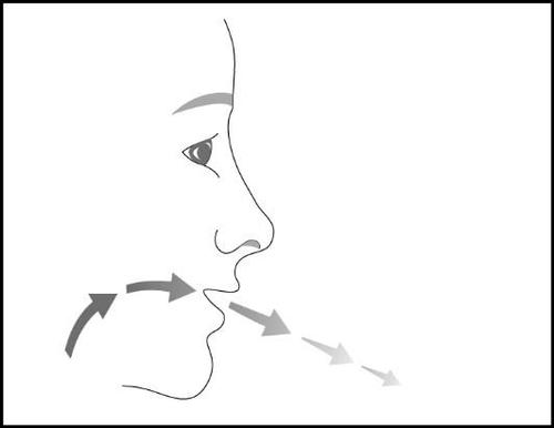 Profilo di una testa con frecce grigie che indicano il flusso dell