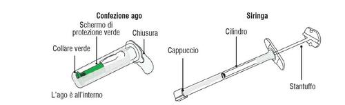 Siringa con stantuffo e ago protetto, evidenziate le parti come cilindro, chiusura, cappuccio e schermo di protezione verde