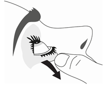 Applicazione di un applicatore con ciglia finte sulla palpebra superiore con freccia che indica la direzione